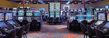Live casino dealer studio with multi-camera setup at pitbulqq